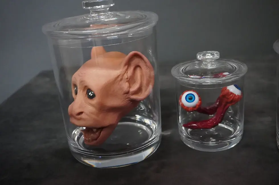 Thumbnail: Oddities Shatterproof Specimen Jar Combo