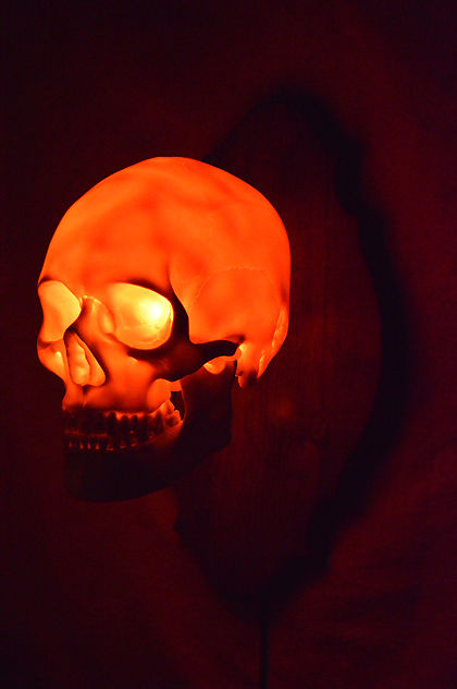 Thumbnail: Skull Sconce