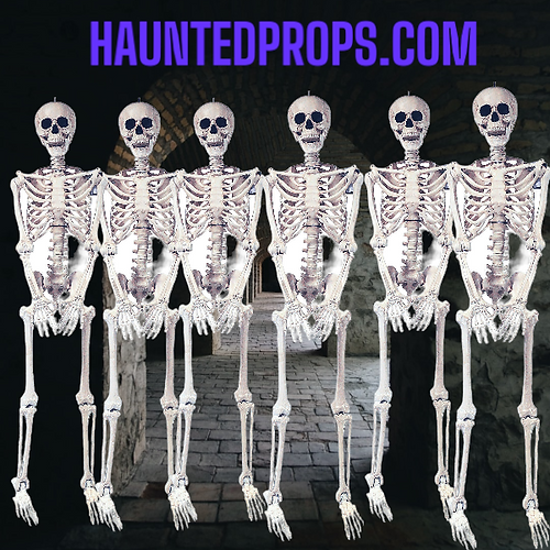 5 Ft. Skeleton Pose & Hold Halloween Decoration 6 each