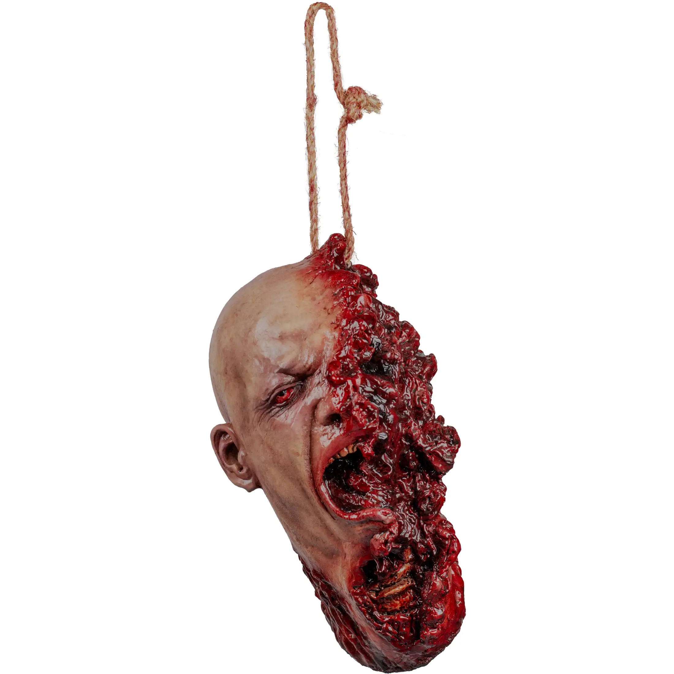 Shotgun Blast Severed head