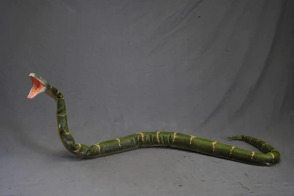 Thumbnail: 7ft Posable Boa Snake Prop