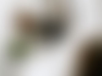 ☀️ How to Care for Your Hair Differently in the Summer: Expert Tips from Envy Beauty Den