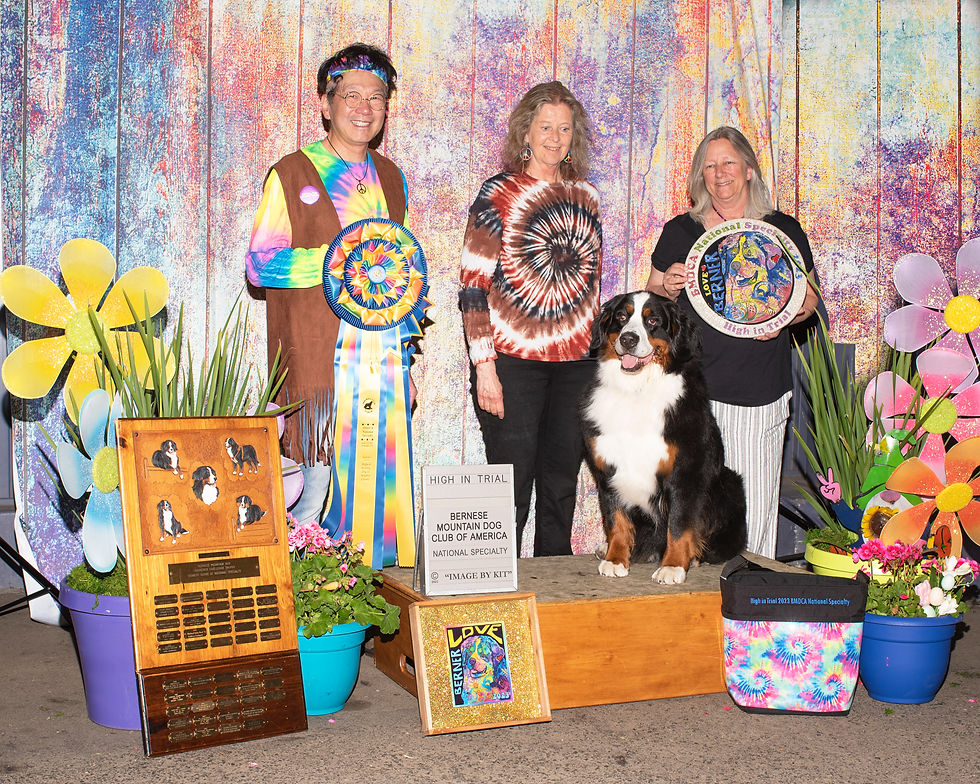 Best in Specialty Show / Futurity / Top 20 / High in Trial