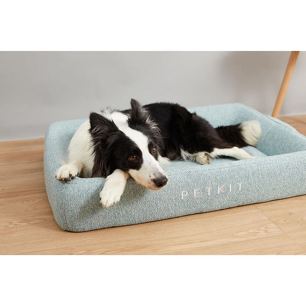 Thumbnail: Instachew PETKIT Deep Sleep All Season Bed