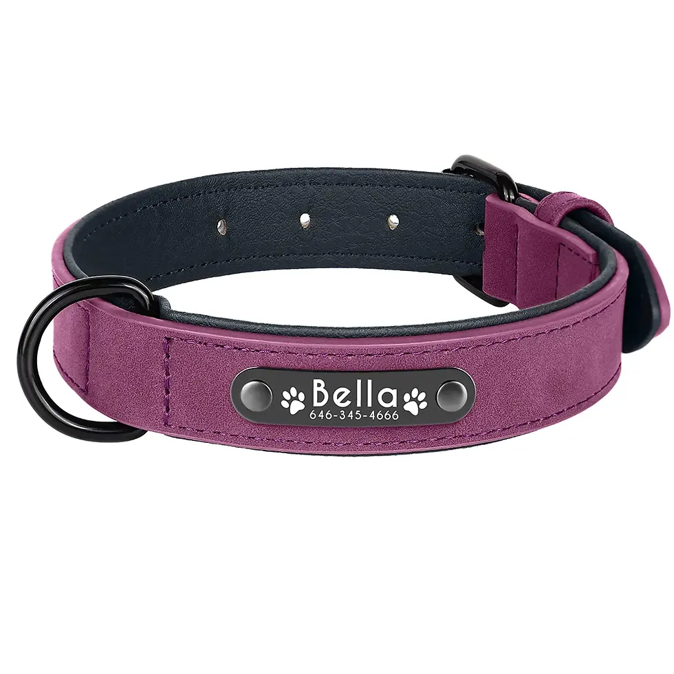 Thumbnail: Leather Dog Collar with Name ID Tags