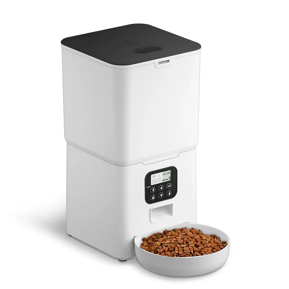Thumbnail: 6L Automatic Pet Feeder