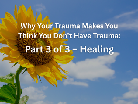 Part 3 of 3 – Healing: Why Your Trauma Makes You Think You Don’t Have Trauma