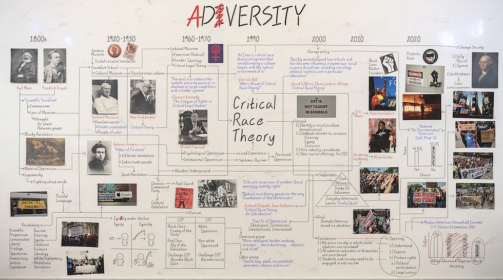 Thumbnail: Adversity: The Stories of Critical Race Theory Documentary DVD