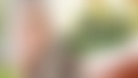 What Makes Vitamin E a ‘Grade-A’ Skin Protectant? What’s the Best Way to Take it?