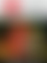 Let's Go Latin, DEFINE CHENNAI, July 2016