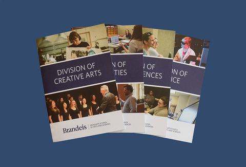 Image of Brandeis University's Graduate School of Arts and Sciences Recruitment Brochures