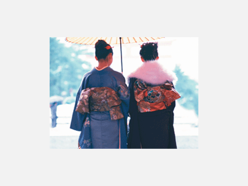 6917552.gif