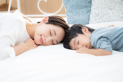 丸洗い・完全殺菌でふんわり仕上げ