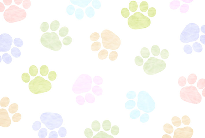 AdobeStock_164343279.jpeg