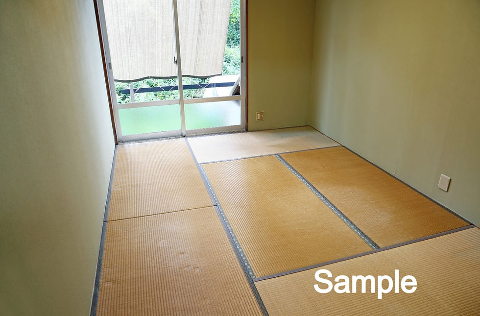 畳(before)