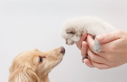 一般診療・健康管理