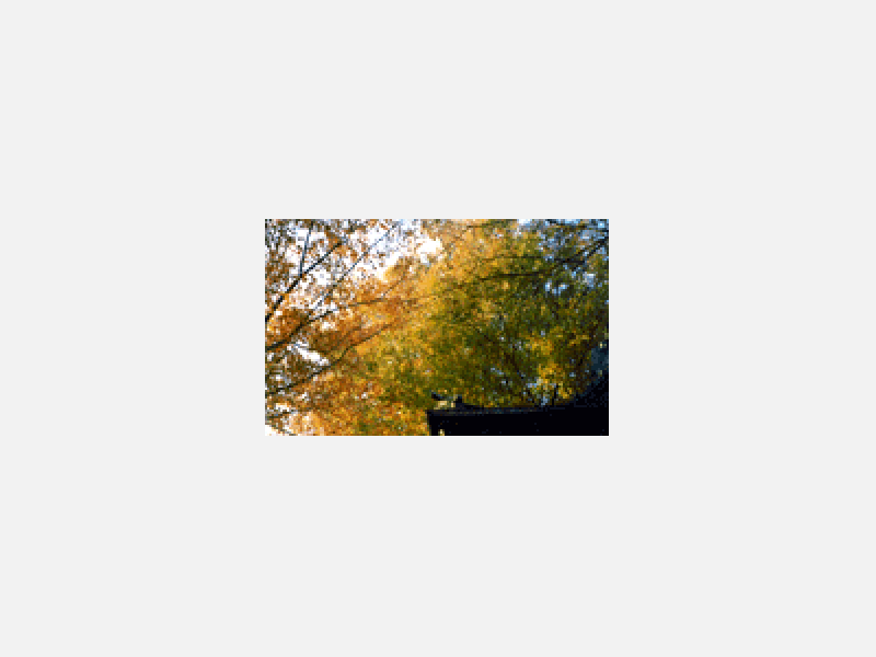 6655322.gif