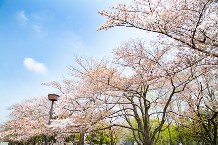 安心して相談できる雰囲気です