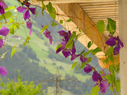 App. Birgla Zillertal Tirol (4)