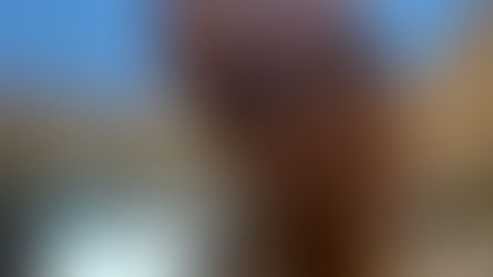 New AP Reflection Series:           Rooted in Spirit, Rising in Leadership