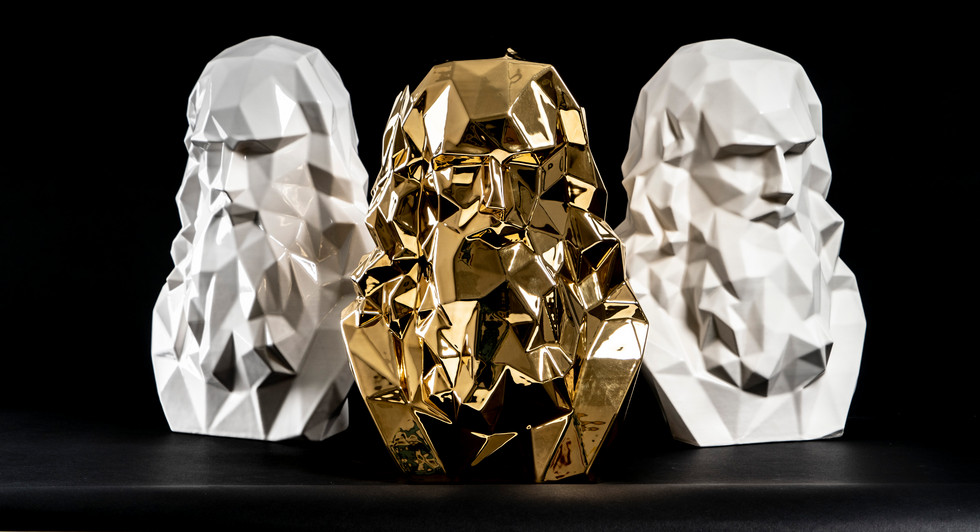 LEONARDO DA VINCI BUSTO 3D.jpg