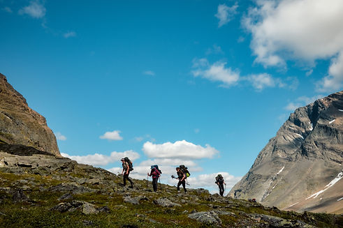 rewilding life academy-139.jpg