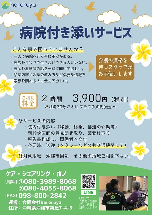 チラシダウンロードテスト 病院付き添い 合同会社 はれるや