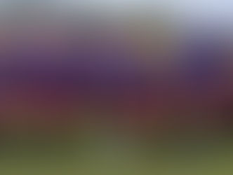 Fútbol Femenino Curuzucuateño