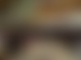 Grade 6 and Grade 7 students participated in an educational and recreational trip to Al-Qastal