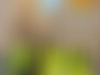 Launch of the “My Brother’s / My Sister’s Safety Matters to Me” Campaign