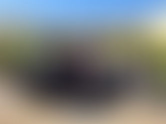  The teaching staff of the American Curriculum participated in a training workshop at Al-Quds University