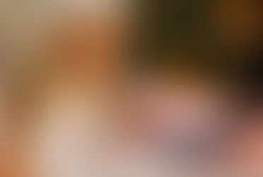 Why Small Pets Struggle During Grooming - And the One Setup That Makes It Easy for Every Pet Parent