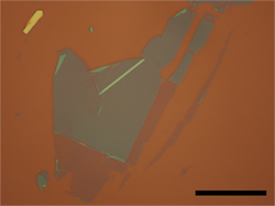 Thumbnail: Exfoliated optical image of hexagonal boron nitride (hBN) crystals