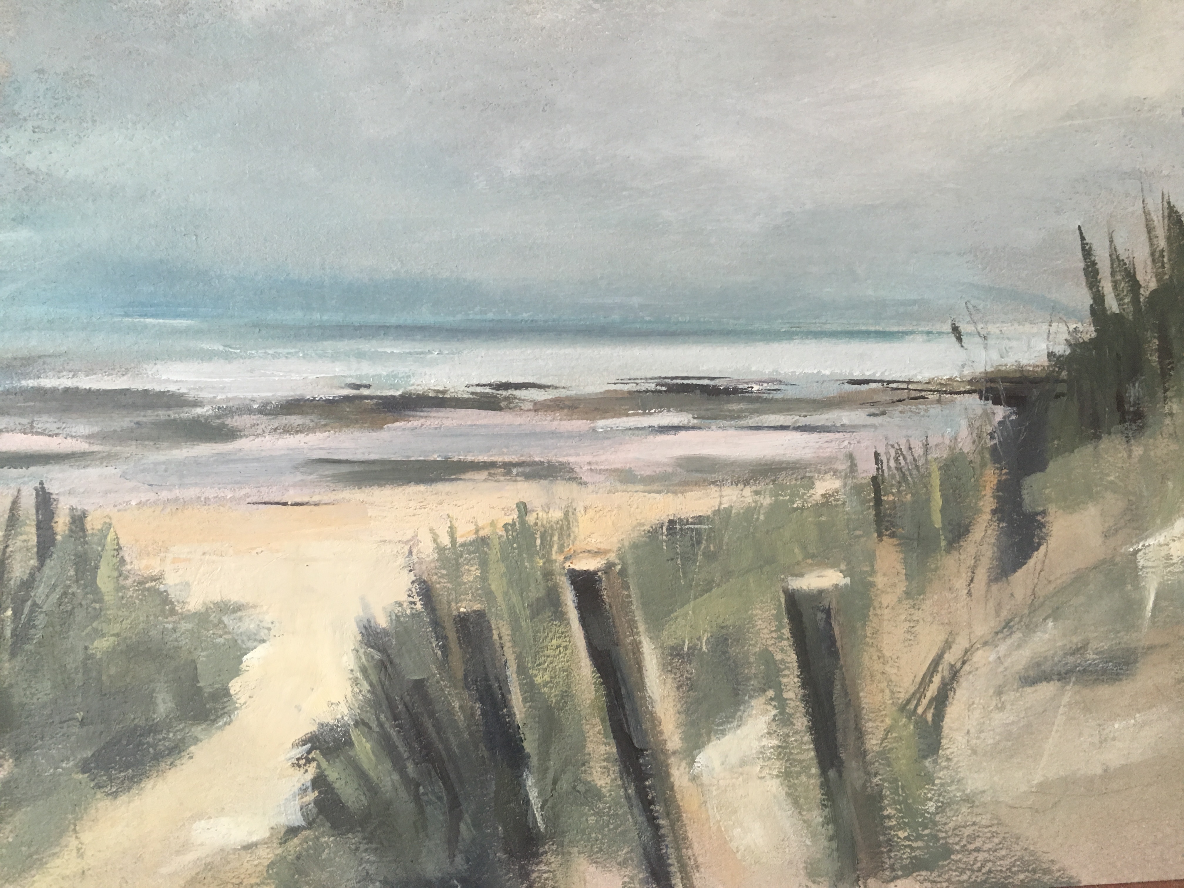 Wild coast