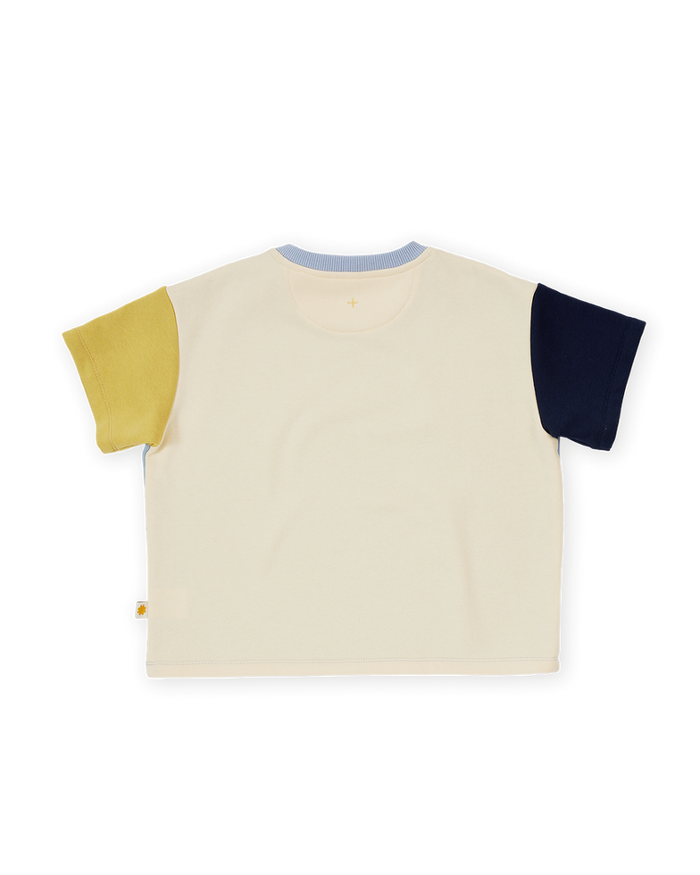 Back view of the color-block T-shirt with light blue body and contrasting sleeves.