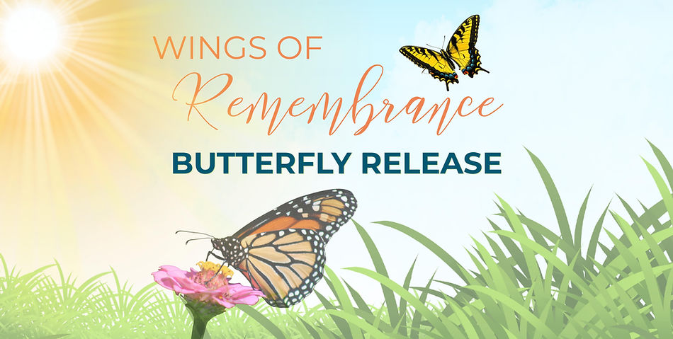 Website Banner Butterfly Release.jpg