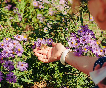 2026-09-13-butterfly release-20.jpg