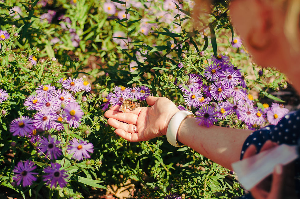 2026-09-13-butterfly release-20