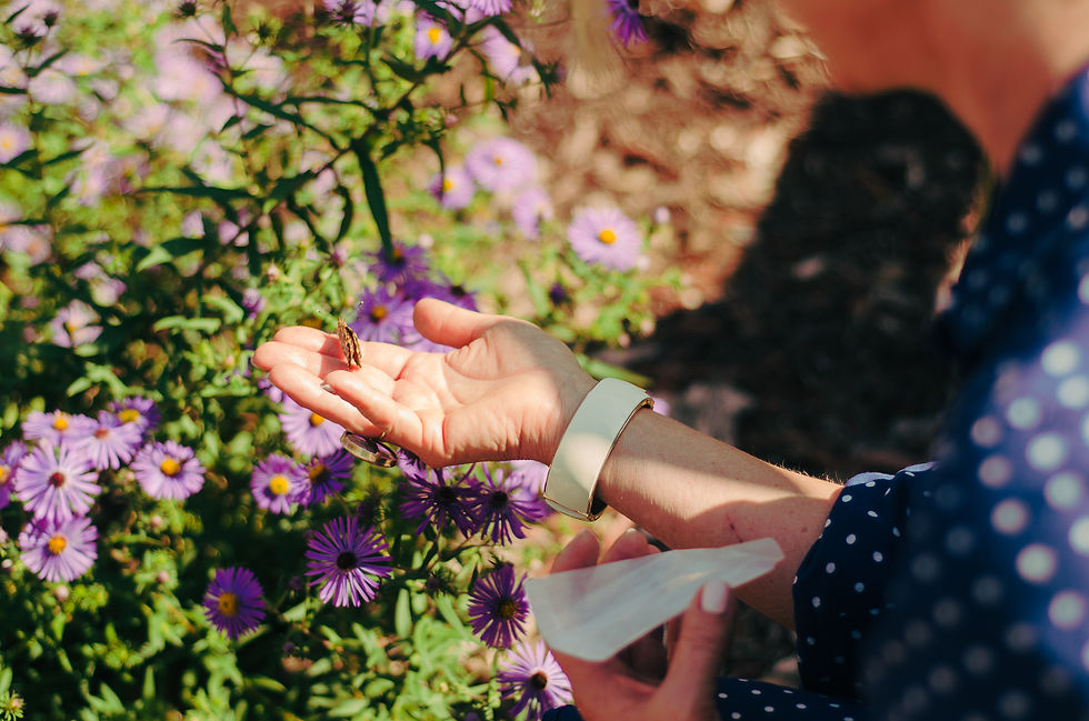 2026-09-13-butterfly release-19