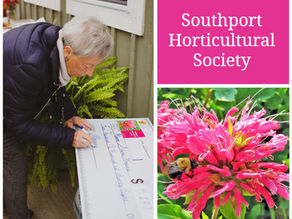 Growing Compassion: How Gardens Became a Community Celebration