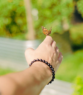 2026-09-13-butterfly release-17.jpg