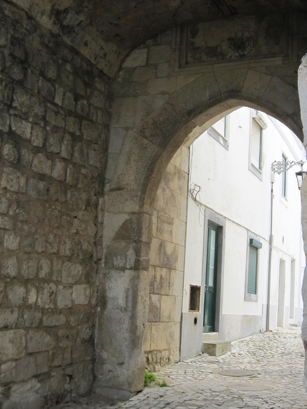 Thumbnail: LUSITANO HORSE