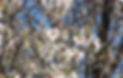 100_3649_edited.jpg