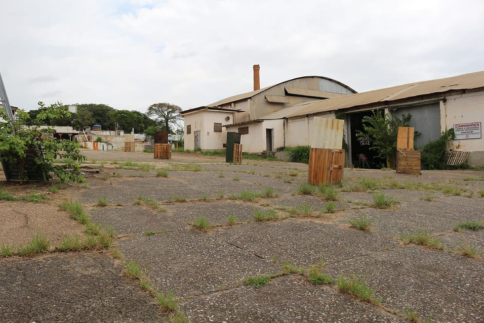 WhatsApp Image 2022-03-20 at 17.48.58.jpeg