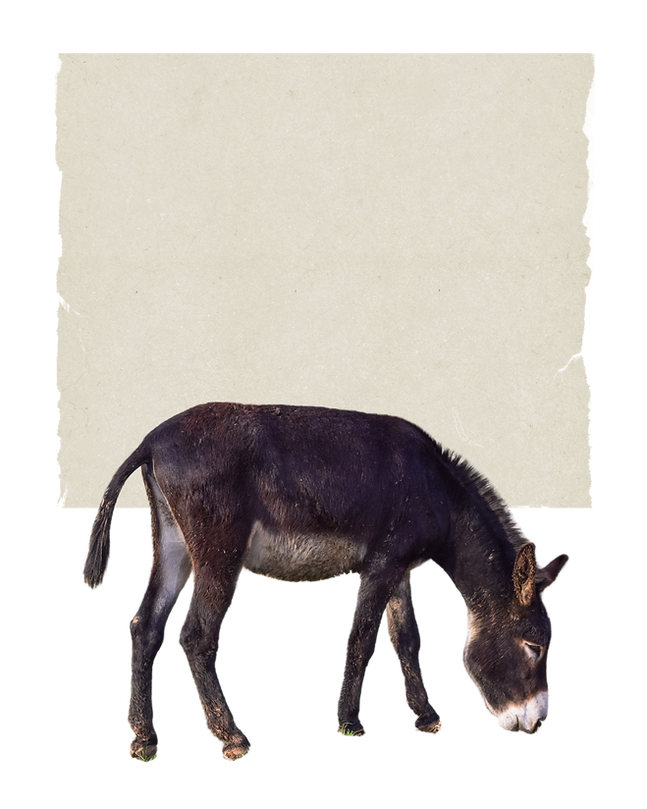 Add a heading (1).png