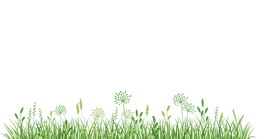 Untitled design (9).png