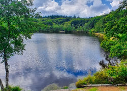 Swim 1 Overview