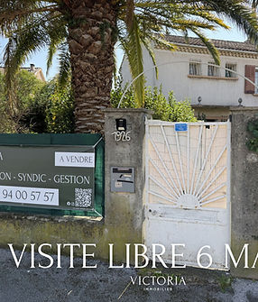 visite libre cyril vial_edited.jpg