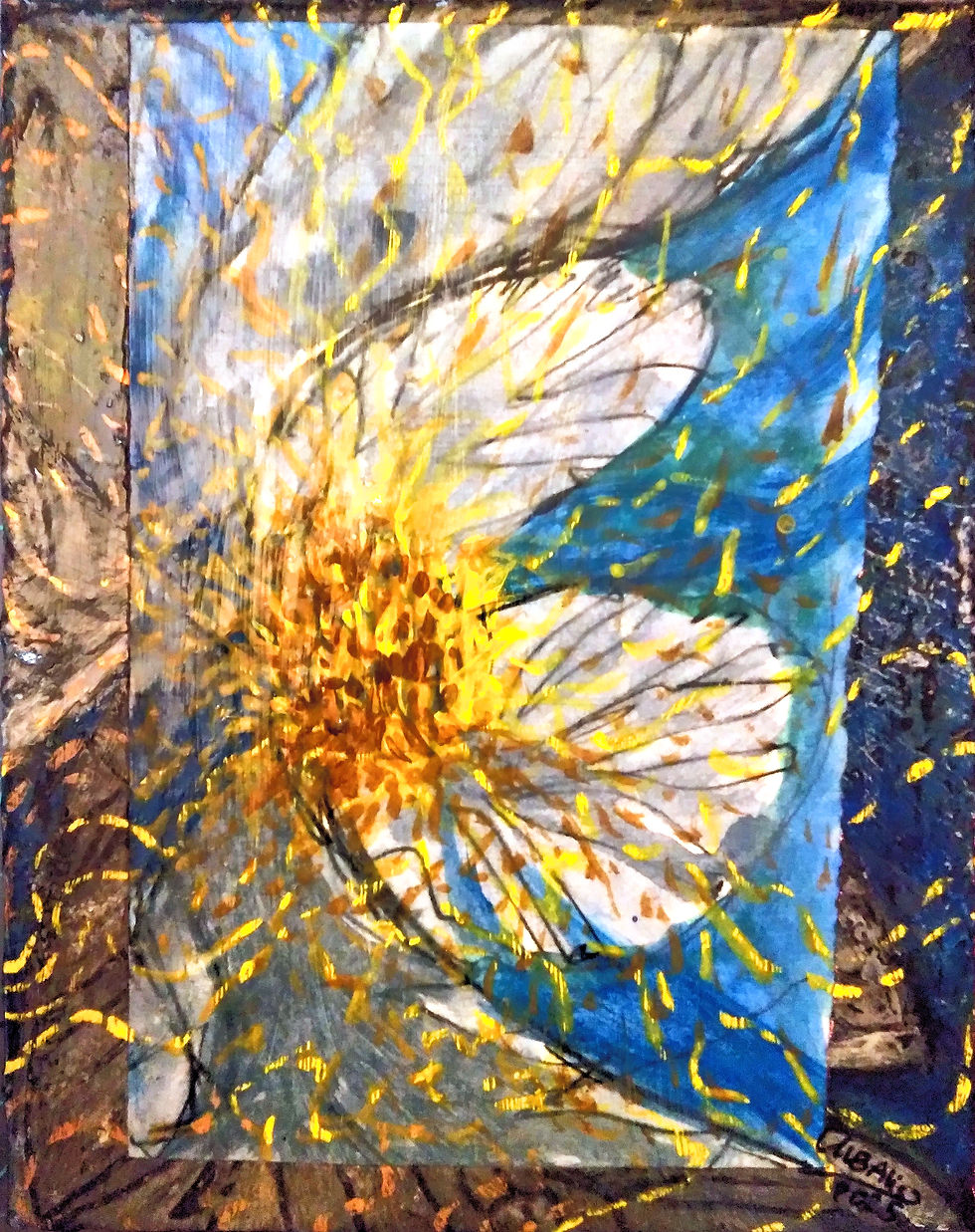 Flower from Spring