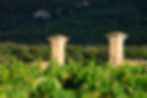 CMOIRENC_153126_opti.jpg